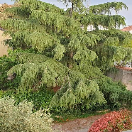 Apartments Adri, Parking In The Yard روفينج المظهر الخارجي الصورة