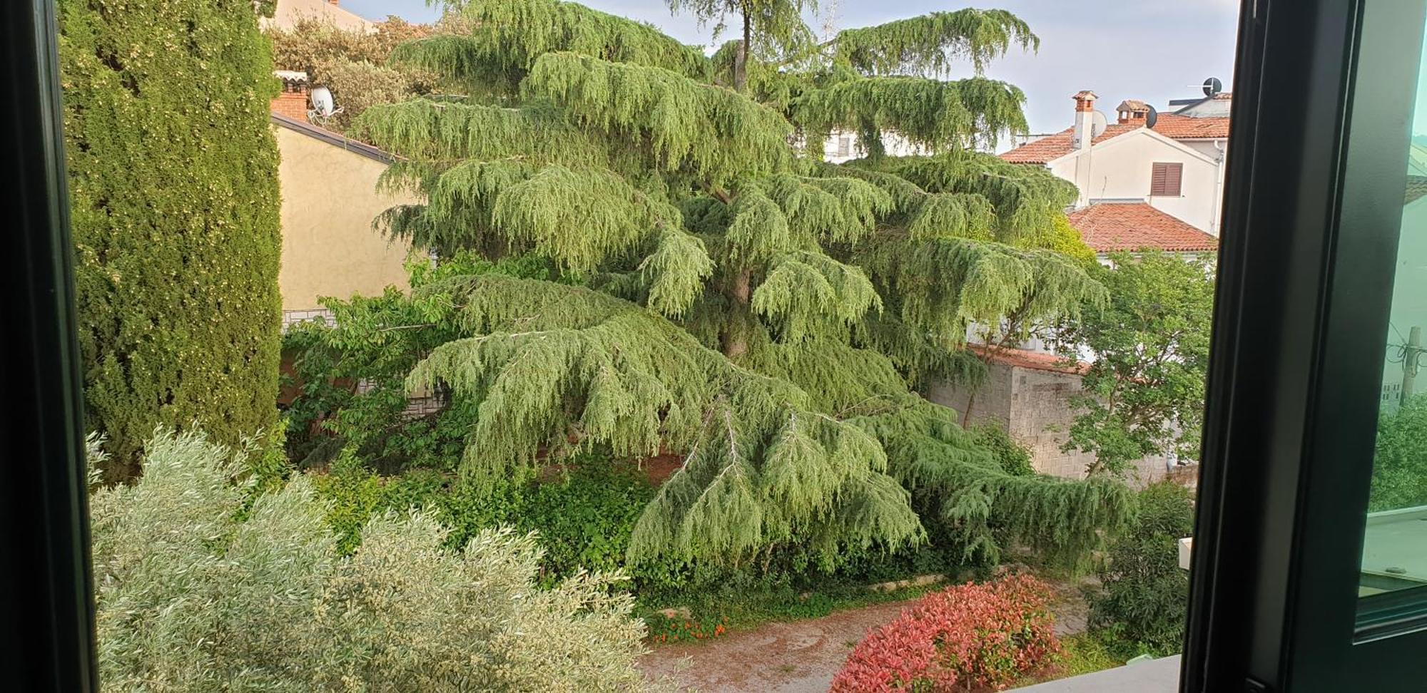 Apartments Adri, Parking In The Yard روفينج المظهر الخارجي الصورة